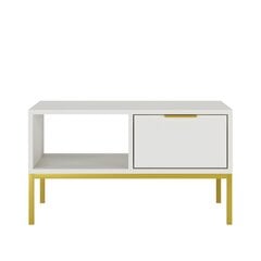 Kohvilaud Austin, 80x60x45,4 cm, valge/kuldne price and information | Coffee tables | hansapost.ee