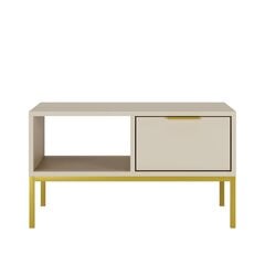 Kohvilaud Austin, 80x60x45,4 cm, pruun/kuldne price and information | Coffee tables | hansapost.ee