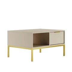 Kohvilaud Austin, 80x60x45,4 cm, pruun/kuldne price and information | Coffee tables | hansapost.ee