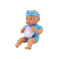 Nukk siniste aksessuaaridega Lean Toys Love Baby цена и информация | Игрушки для девочек | hansapost.ee