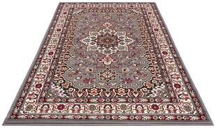 Vaip Nouristan Mirkan Parun Tabriz 120x170 cm, hall hind ja info | Vaibad | hansapost.ee