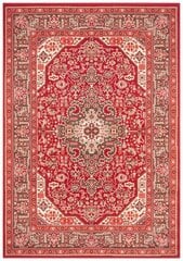 Vaip Nouristan Mirkan Skazar Isfahan 120x170 cm, punane hind ja info | Vaibad | hansapost.ee