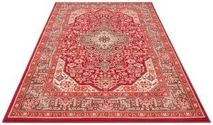 Vaip Nouristan Mirkan Skazar Isfahan 120x170 cm, punane hind ja info | Nouristan Mööbel ja sisustuskaubad | hansapost.ee