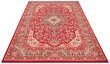 Vaip Nouristan Mirkan Skazar Isfahan 120x170 cm, punane hind ja info | Vaibad | hansapost.ee