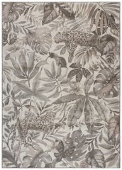 Vaip Elle Decoration Botanical Sambre, 120x170 cm hind ja info | Vaibad | hansapost.ee