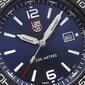 Meeste käekell Luminox Pacific Diver XS.3123.RF цена и информация | Käekellad meestele | hansapost.ee