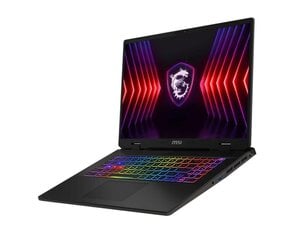 MSI Sword 17 HX B14VFKG (SWORD17HXB14VFKG-010NL) цена и информация | Ноутбуки | hansapost.ee