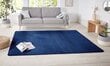 Vaip Hanse Home Nasty 200x300 cm цена и информация | Vaibad | hansapost.ee