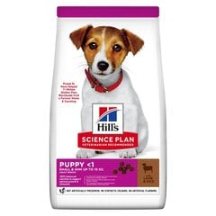 Hill's Science Plan small & mini kutsikate toit kutsikatele lambaliha ja riisiga, 0.3 kg price and information | Dry dog food and crisps | hansapost.ee