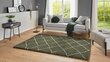 Vaip Mint Rugs Allure 160x230 cm hind ja info | Vaibad | hansapost.ee