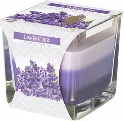 Lõhnav küünal Scented Lavender hind ja info | Küünlad, küünlajalad | hansapost.ee