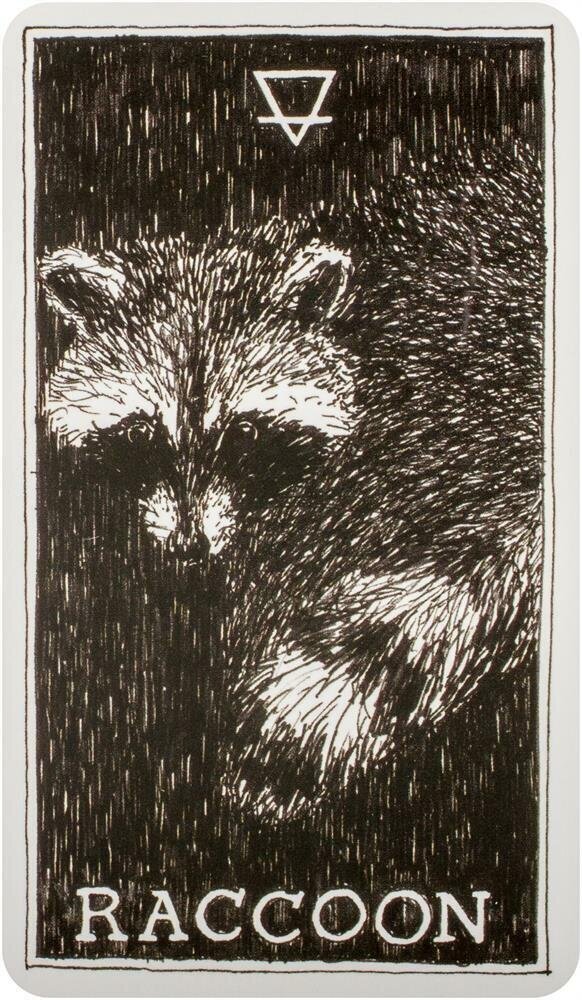 Wild Unknown Pocket Animal Spirit Deck hind ja info | Esoteerika | hansapost.ee