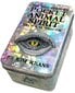 Wild Unknown Pocket Animal Spirit Deck hind ja info | Esoteerika | hansapost.ee