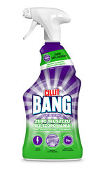 Cillit Bang rasva- ja mustuseeemaldaja Grease & Smudges, 750 ml price and information | Cleaning products | hansapost.ee