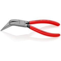 Изогнутые плоскогубцы Knipex 38 71 200 цена и информация | Механические инструменты | hansapost.ee