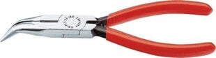 Удлиненные плоскогубцы Knipex 25 21 160 цена и информация | Механические инструменты | hansapost.ee