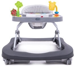 Käimistool 4Baby Walk'n Push dark grey цена и информация | Ходунки | hansapost.ee