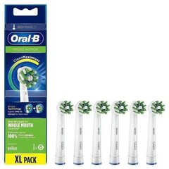 Oral-B Braun сменные головки для зубной щетки цена и информация | Насадки для электрических зубных щеток | hansapost.ee