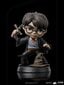 Figuur Iron Studios Harry Potter, Harry Potter Griffindori mõõgaga, 14 cm цена и информация | Mänguasjad poistele | hansapost.ee