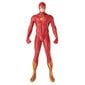 DC Comics Flash hind ja info | Fännitooted mänguritele | hansapost.ee