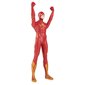 DC Comics Flash hind ja info | Fännitooted mänguritele | hansapost.ee