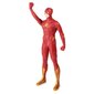 DC Comics Flash hind ja info | Fännitooted mänguritele | hansapost.ee