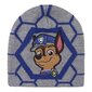 Laste müts The Paw Patrol Hall hind ja info | Mütsid, sallid, kindad poistele | hansapost.ee