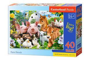 Puzzle 40 Farm Friends 040339 hind ja info | Pusled lastele ja täiskasvanutele | hansapost.ee