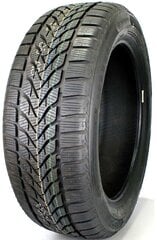 Lassa Competus winter 2 + 225/60R18 100 H цена и информация | Зимняя резина | hansapost.ee