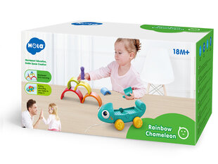 Montessori puzzle, vikerkaarekameleon price and information | Educational children's toys | hansapost.ee