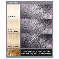 Geel juuksevärv L'Oreal Colorista, #SmokeyGrey hind ja info | Juuksevärvid | hansapost.ee