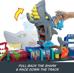 Wash Track Mattel Hot Wheels Shark price and information | Toys for boys | hansapost.ee