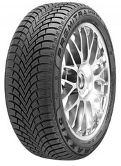 Maxxis Premitra Snow WP6 195/65R15 95 T XL цена и информация | Maxxis Покрышки | hansapost.ee