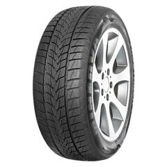 Minerva Frostrack UHP 225/55R18 98 V цена и информация | Зимняя резина | hansapost.ee