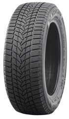 Nankang Ice Activa 2 245/45R20 103 T XL цена и информация | Зимняя резина | hansapost.ee