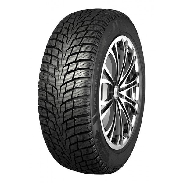 Nankang ICE-1 205/65R16C 107/105 Q hind ja info | Talverehvid | hansapost.ee