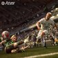 EA Sports FC 25 Switch mäng цена и информация | Konsooli- ja arvutimängud | hansapost.ee