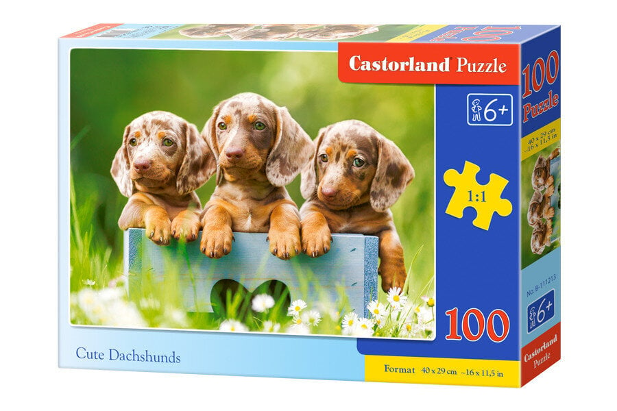 Puzzle 100 CUTE DACHSHUNDS 111213 hind ja info | Pusled lastele ja täiskasvanutele | hansapost.ee