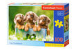 Puzzle 100 CUTE DACHSHUNDS 111213 цена и информация | Pusled lastele ja täiskasvanutele | hansapost.ee