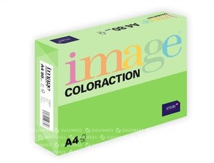 Image Coloraction A4/80gr, Rio Neon Green (617066) цена и информация | Тетради и бумажные товары | hansapost.ee