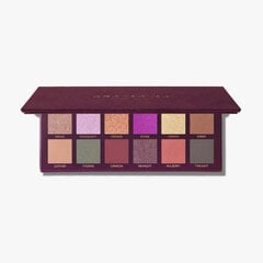 Lauvärvipalett Anastasia Beverly Hills Fall Romance Eye Shadow Palette, 13.2 g hind ja info | Lauvärvid, ripsmetušid ja silmapliiatsid | hansapost.ee