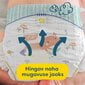 Pampers Premium Care Teipmähkmed, Suurus 6, 128 Mähet, 13-18 kg цена и информация | Mähkmed, riidest mähkmed | hansapost.ee