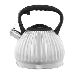 Ambition induktsioonkeedukann vilega Curly, 2.5 l price and information | Teapots, coffee pots, water teapots | hansapost.ee