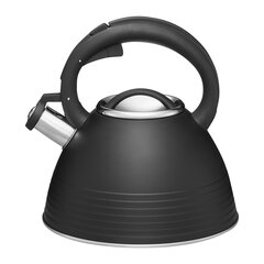 Ambition induktsioonveekeetja koos vilega Linea, 2.5 l price and information | Teapots, coffee pots, water teapots | hansapost.ee