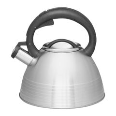 Ambition induktsioonveekeetja vilega Linea, 2.5 l price and information | Teapots, coffee pots, water teapots | hansapost.ee