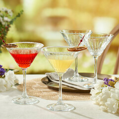 Pasabahce martini klaas Elysia, 220 ml, 4 tk price and information | Glasses, mugs and jugs | hansapost.ee