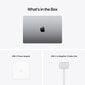 Apple MacBook Pro 16" M1 Pro 10C CPU, 16C GPU/32GB/512GB SSD/Space Grey/US English - Z14V0028K цена и информация | Sülearvutid | hansapost.ee