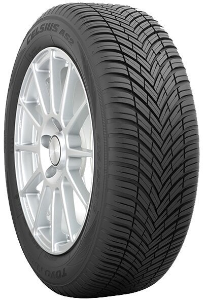 Toyo Celsius AS2 195/55R16 91 V XL цена и информация | Lamellrehvid | hansapost.ee