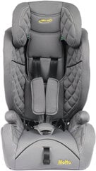 Autotool Summer Baby Molto i-Size Isofix, 9-36 kg, hall price and information | Safety seats and cradles | hansapost.ee