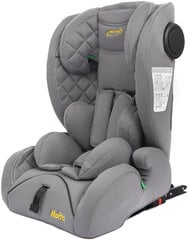 Автомобильное кресло Summer Baby Molto i-Size Isofix, 9-36 кг, серый цена и информация | Автокресла | hansapost.ee